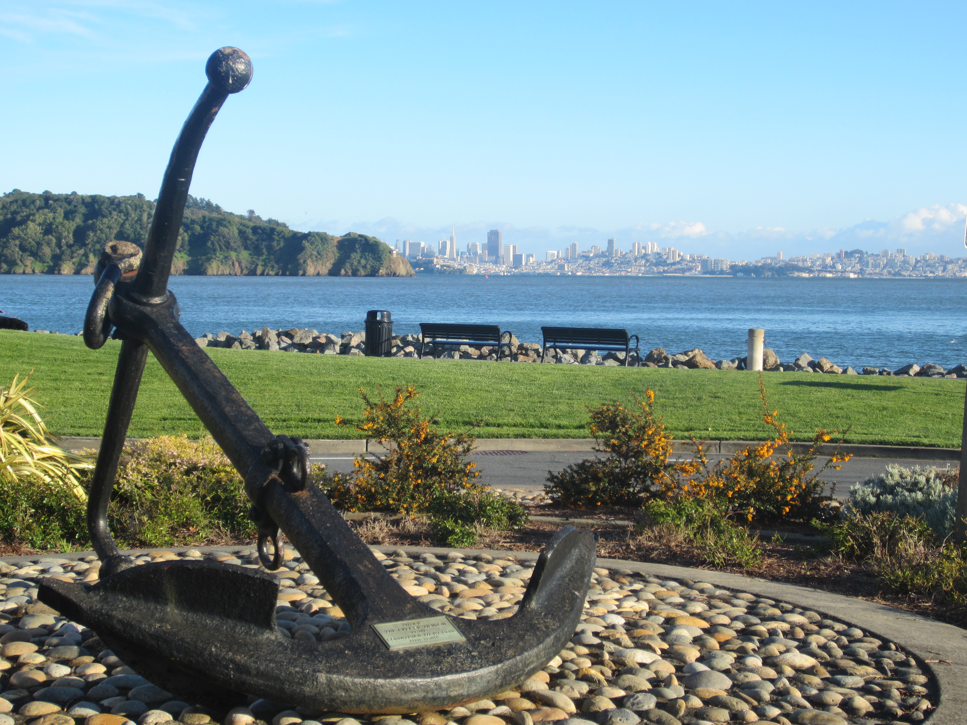 Tiburon Anchor